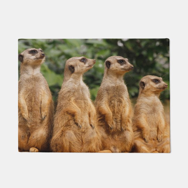Meerkat 018 fußmatte (Vorderseite)