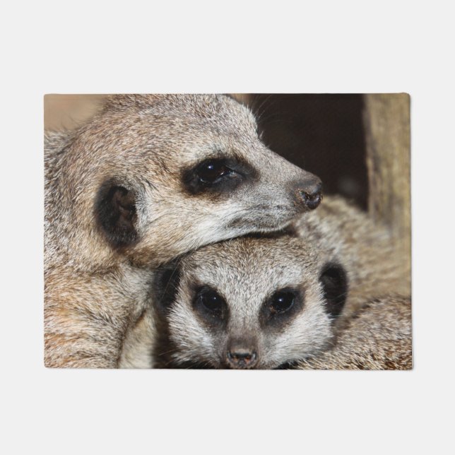 Meerkat 019 fußmatte (Vorderseite)
