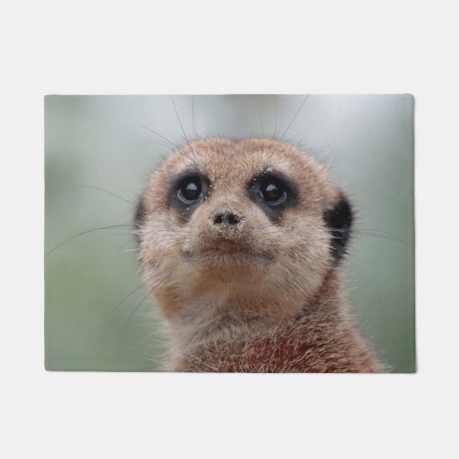 Meerkat 020 fußmatte (Vorderseite)
