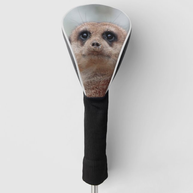 Meerkat 020 golf headcover (Vorderseite)