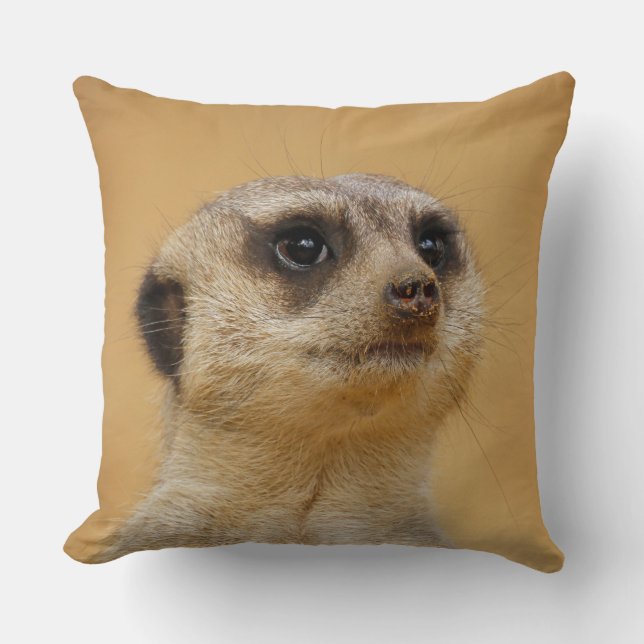 Meerkat 020 kissen (Vorderseite)