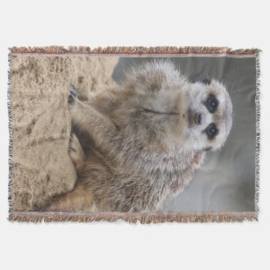 Meerkat 021 decke