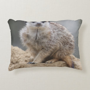 Meerkat 021 dekokissen