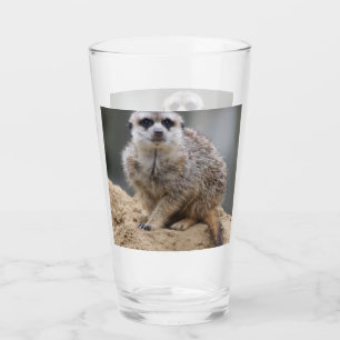 Meerkat 021 glas