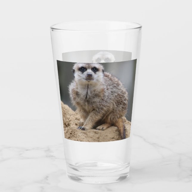 Meerkat 021 glas (Vorderseite)