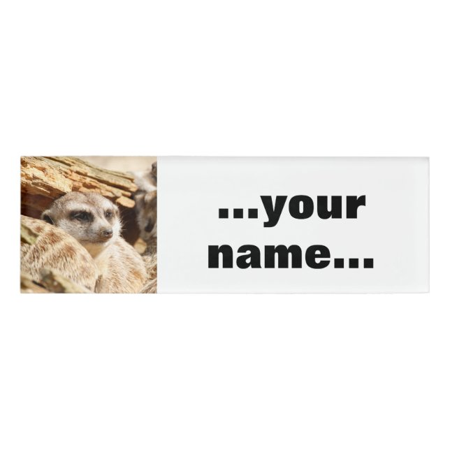 Meerkat_021 Namenschild (Vorderseite)