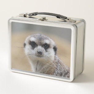 Meerkat 022 metall brotdose