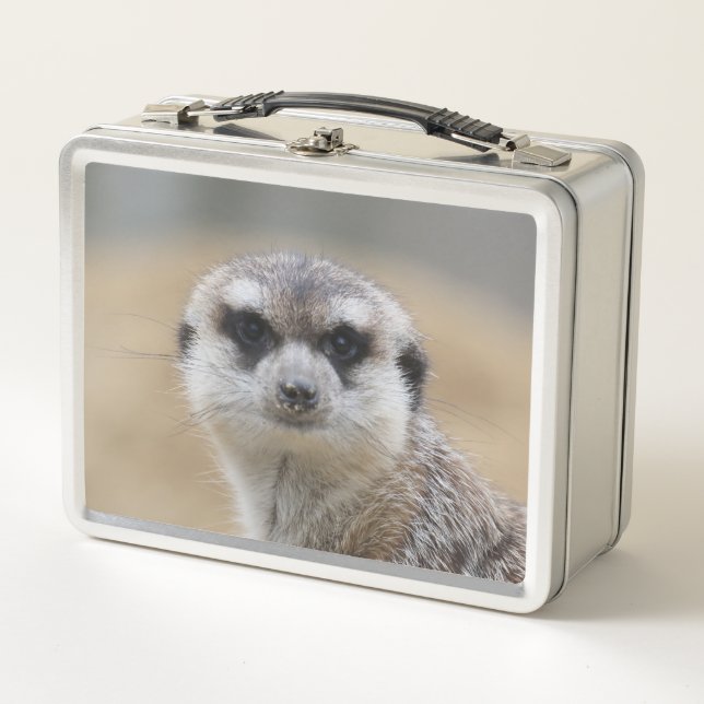 Meerkat 022 metall brotdose (Vorderseite)