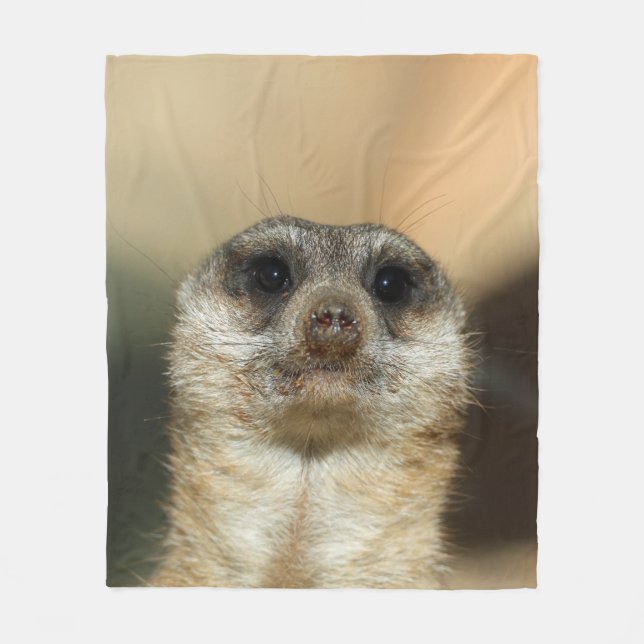 Meerkat 023 fleecedecke (Vorderseite)