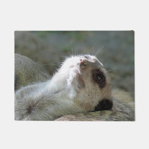 Meerkat 024 fußmatte