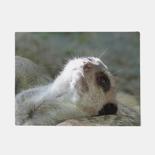 Meerkat 024 fußmatte (Vorderseite)