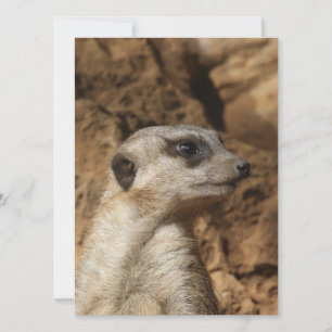 Meerkat 029 feiertagskarte