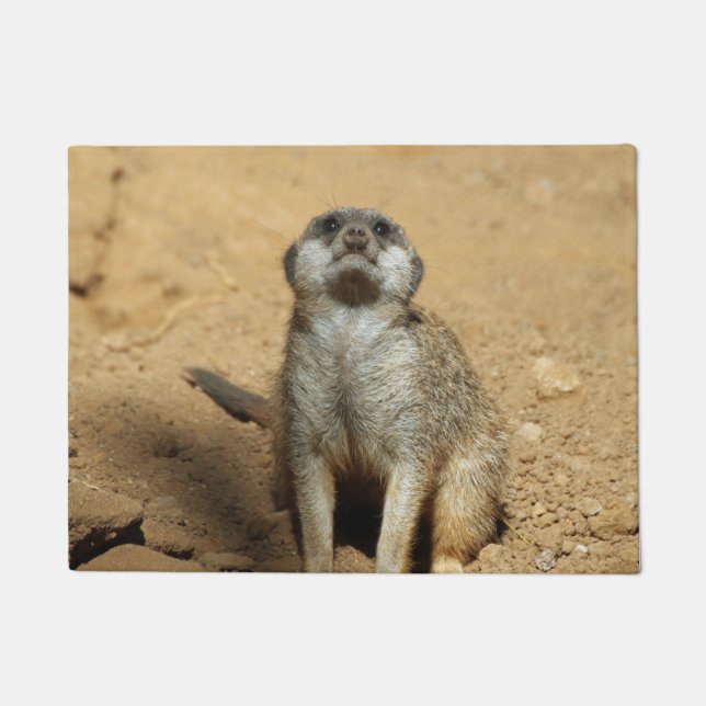 Meerkat 031 fußmatte (Vorderseite)