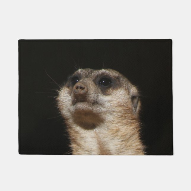 Meerkat 032 fußmatte (Vorderseite)