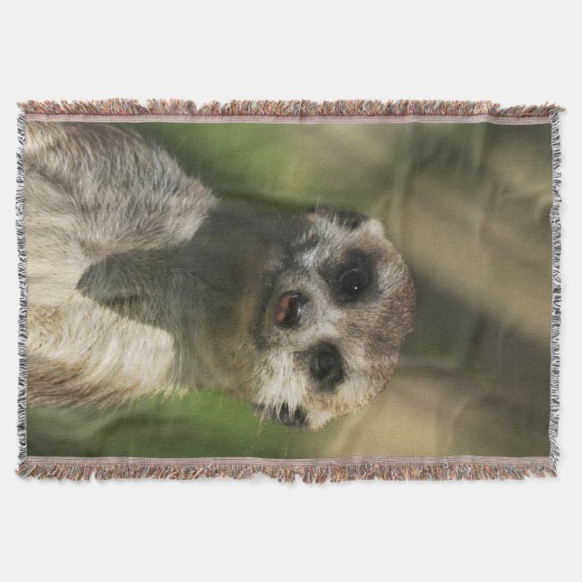 Meerkat 034 decke (Vorderseite)