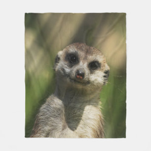 Meerkat 034 fleecedecke