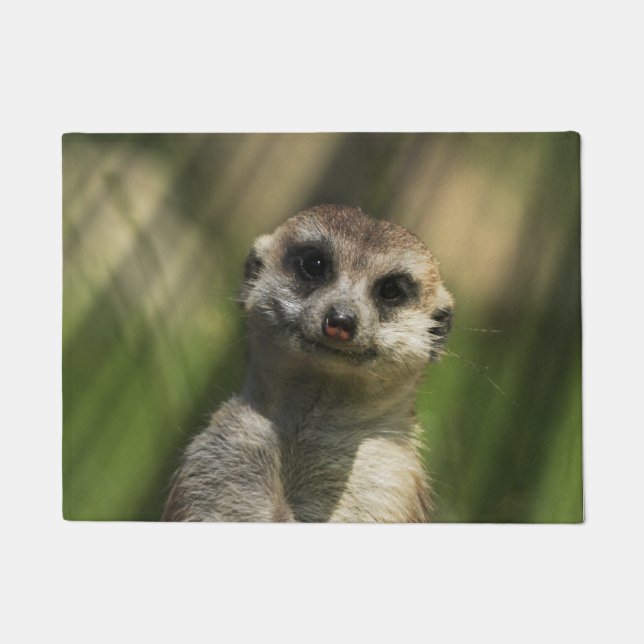 Meerkat 034 fußmatte (Vorderseite)