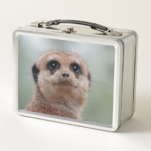 Meerkat 036 metall brotdose