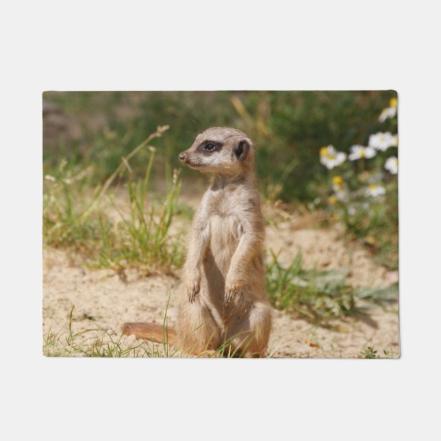 Meerkat 038 fußmatte (Vorderseite)