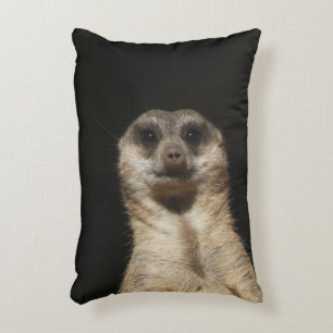 Meerkat 040 dekokissen