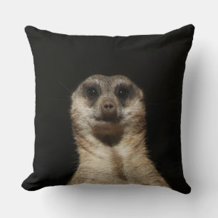 Meerkat 040 kissen