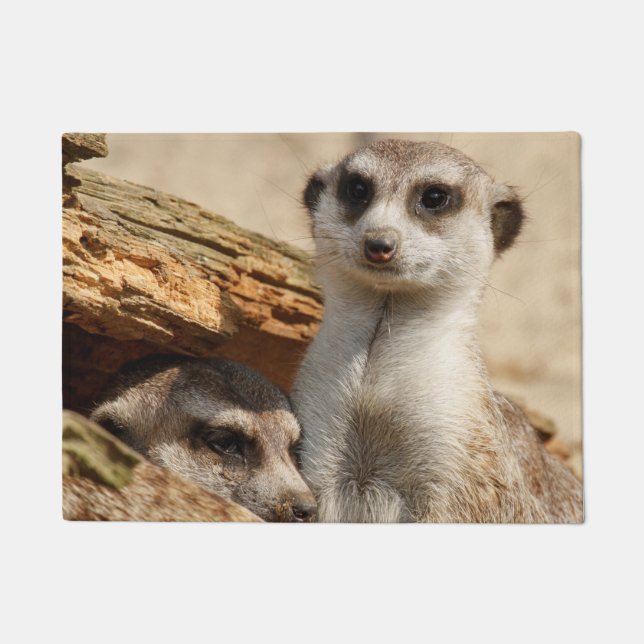 Meerkat 042 fußmatte (Vorderseite)