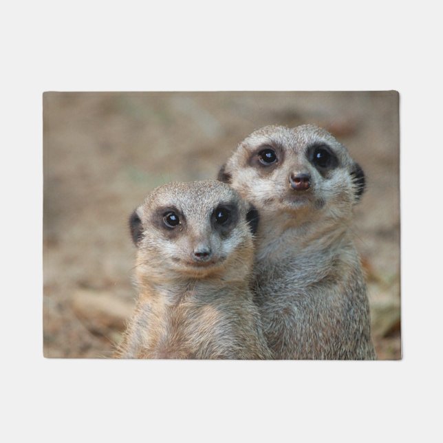 Meerkat 047 fußmatte (Vorderseite)