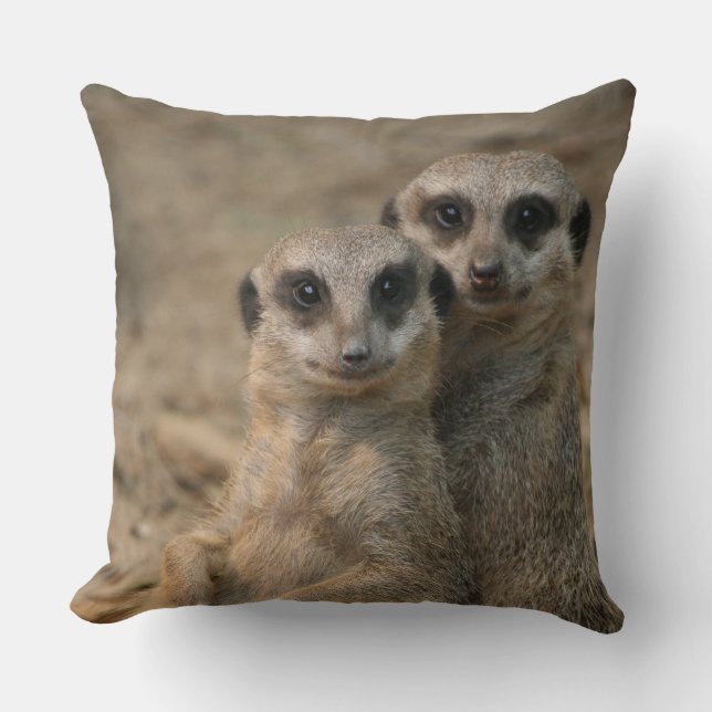 Meerkat 067 kissen (Vorderseite)