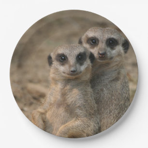 Meerkat 067 pappteller