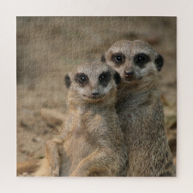Meerkat 067 puzzle (Vertikal)