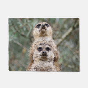 Meerkat 081 fußmatte