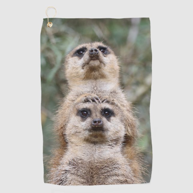 Meerkat 081 golfhandtuch (Vorderseite)