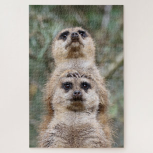 Meerkat 081 puzzle