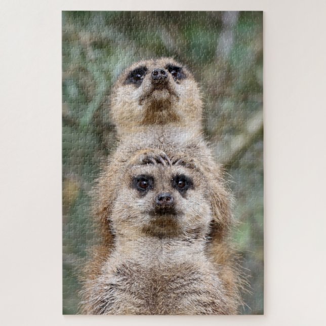 Meerkat 081 puzzle (Vertikal)