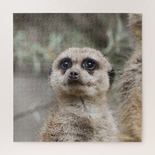 Meerkat 082 puzzle (Vertikal)