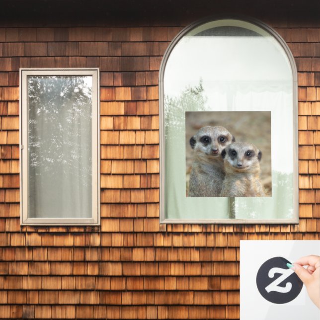 Meerkat 085 fensteraufkleber (Fenster Zuhause)
