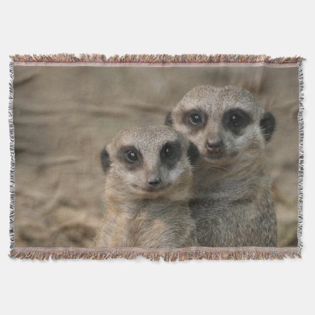 Meerkat 090 decke (Vorderseite)