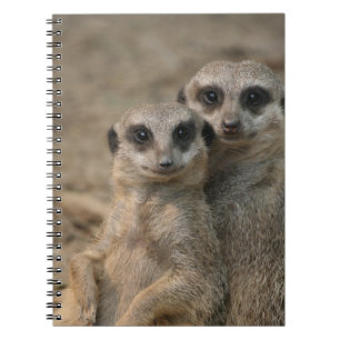 Meerkat 090 notizblock
