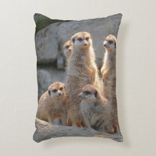 Meerkat 110 dekokissen