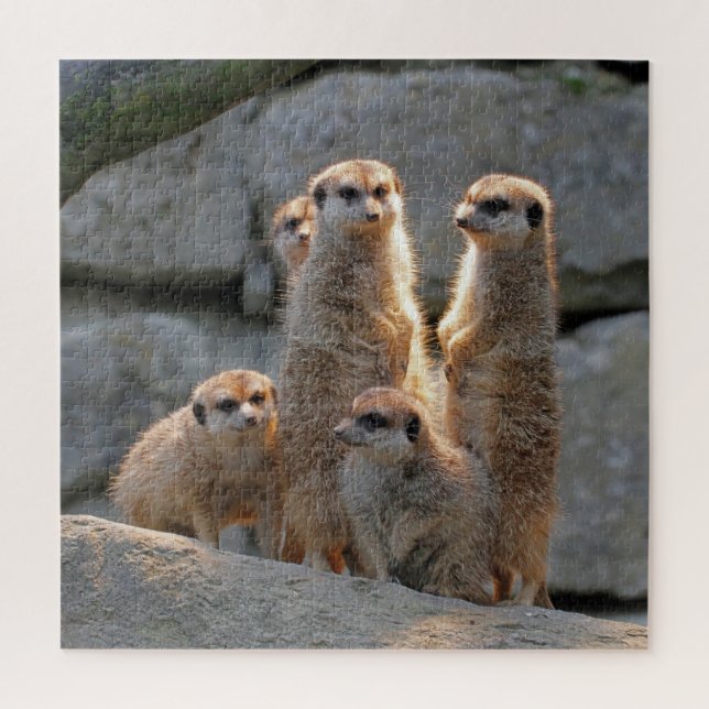 Meerkat 110 puzzle (Vertikal)