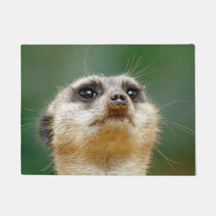 Meerkat 12 fußmatte