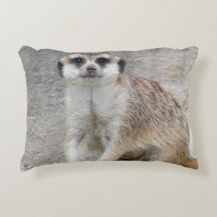 Meerkat 134 dekokissen