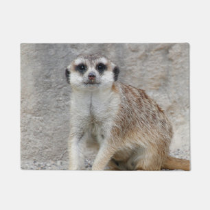 Meerkat 134 fußmatte