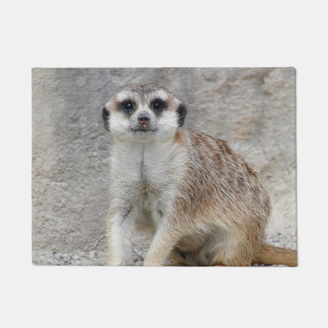 Meerkat 134 fußmatte (Vorderseite)