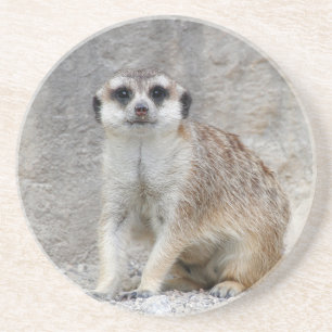 Meerkat 134 getränkeuntersetzer