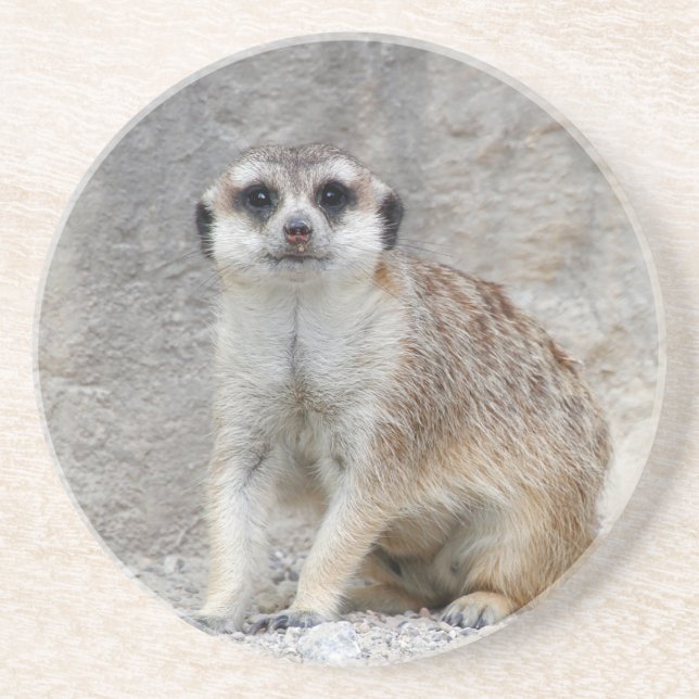 Meerkat 134 getränkeuntersetzer (Vorne)