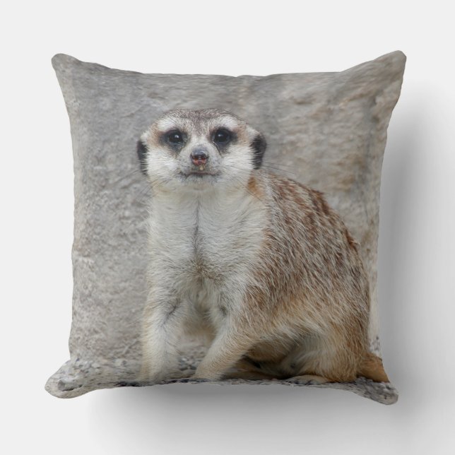Meerkat 134 kissen (Vorderseite)