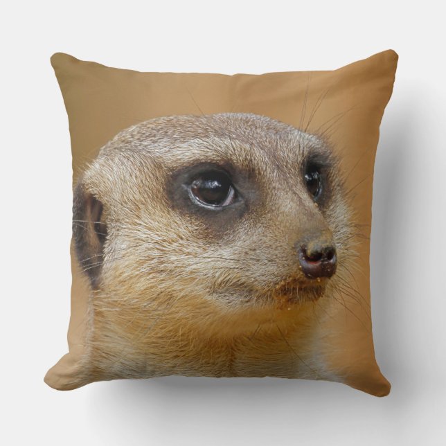 Meerkat 154 kissen (Vorderseite)