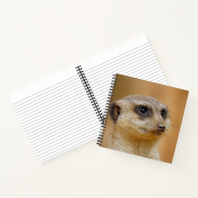 Meerkat 154 notizbuch (Innenseite)