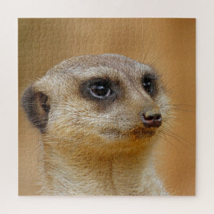 Meerkat 154 puzzle